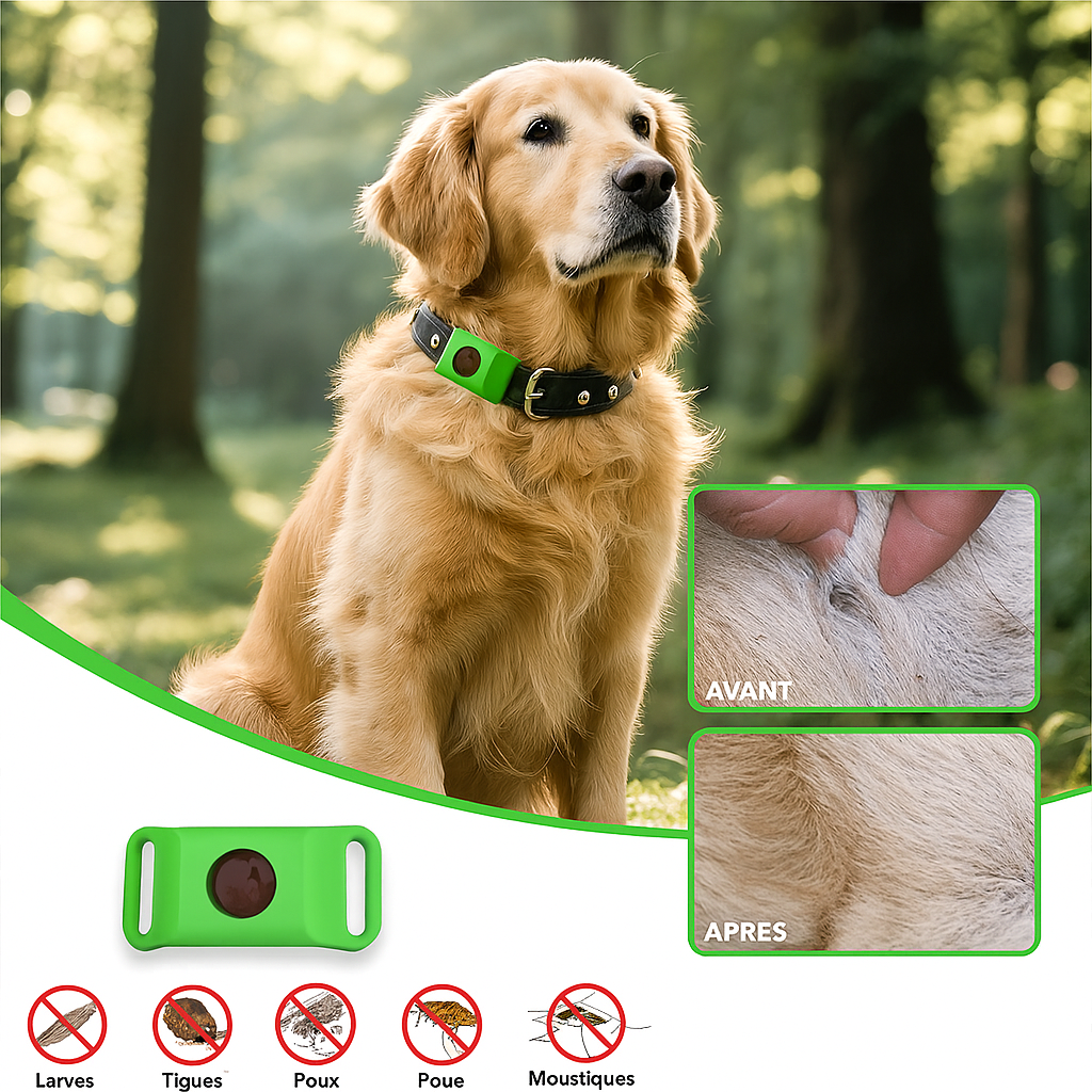 Kovalie - kit de protection complet