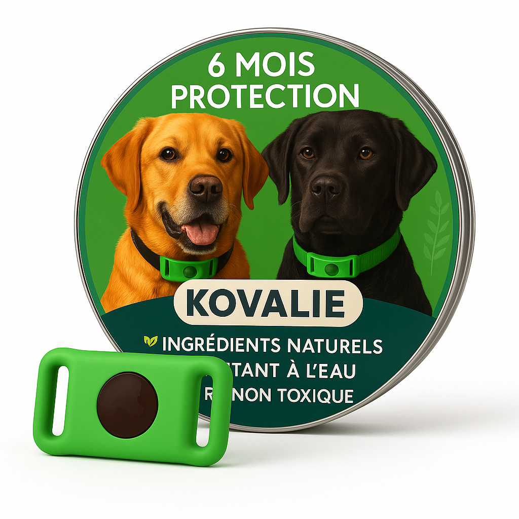 Collier Anti Puces & Tiques Naturel Chien