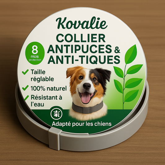 Kovalie - Collier Antiparasites pour Chiens