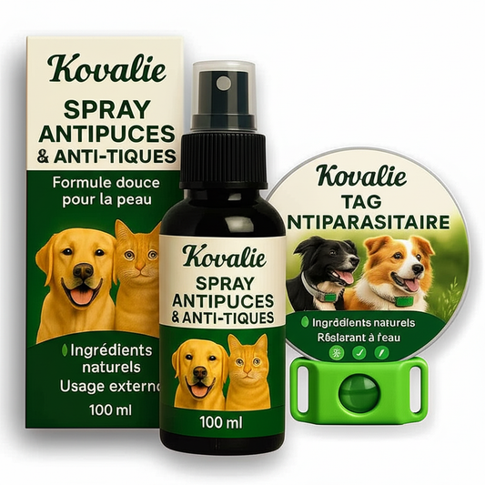 Kovalie - kit de protection complet