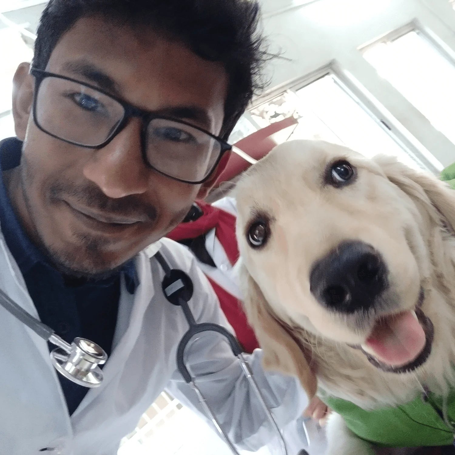 Dr. Roky, vétérinaire spécialiste en naturopathie animale