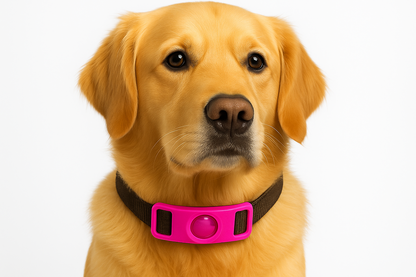 Kovalie - Collier Anti puce & anti tiques pour Chiens